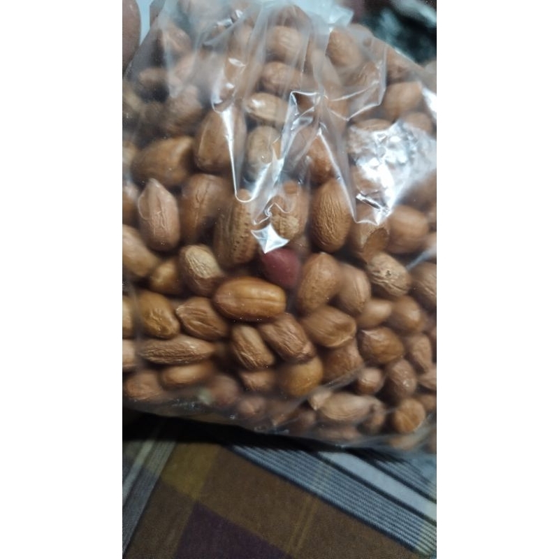 

kacang tanah