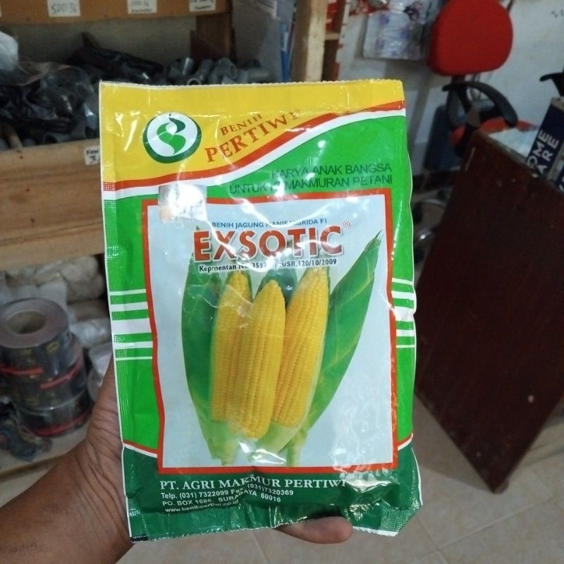 Bibit Jagung EXSOTIC PERTIWI Benih jagung Manis F1
