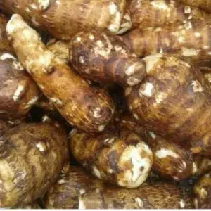 

UBI TALES PULEN/BIASA 1kg