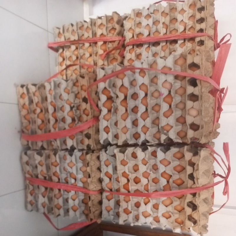 

Telor Ayam 1 kg (isi 16-17 butir)