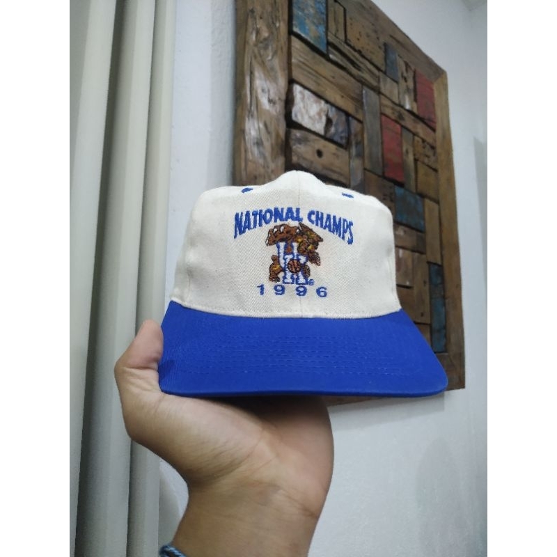 Wildcats vtg hat