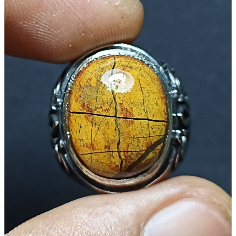 BADAR ASEM TAPAK JALAK