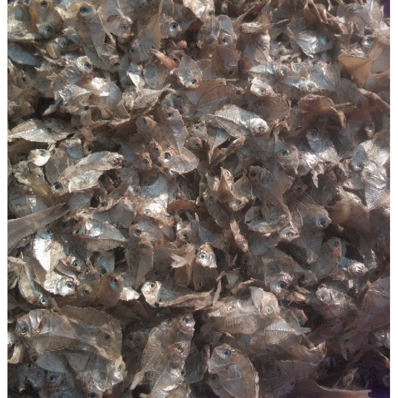 

ikan asin kempar