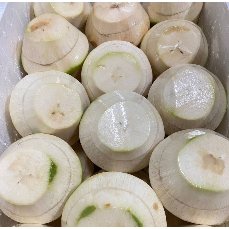 

Degan Jelly/Kelapa Muda Jelly/Jeli (1 buah)