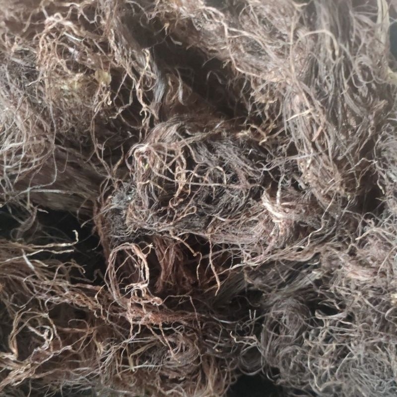 

rambut jagung kering 500 grm