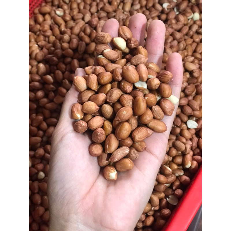 

kacang tanah india super 1/2kg