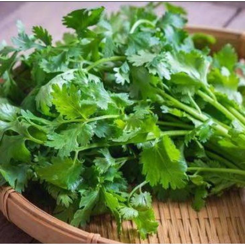 

Daun Sledri 1 kg
