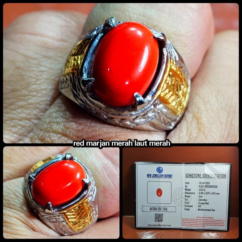 cincin batu marjan merah asli super yemen + serttifikat