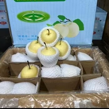 

Buah Pear Century Jual Per 1 Dus Karton