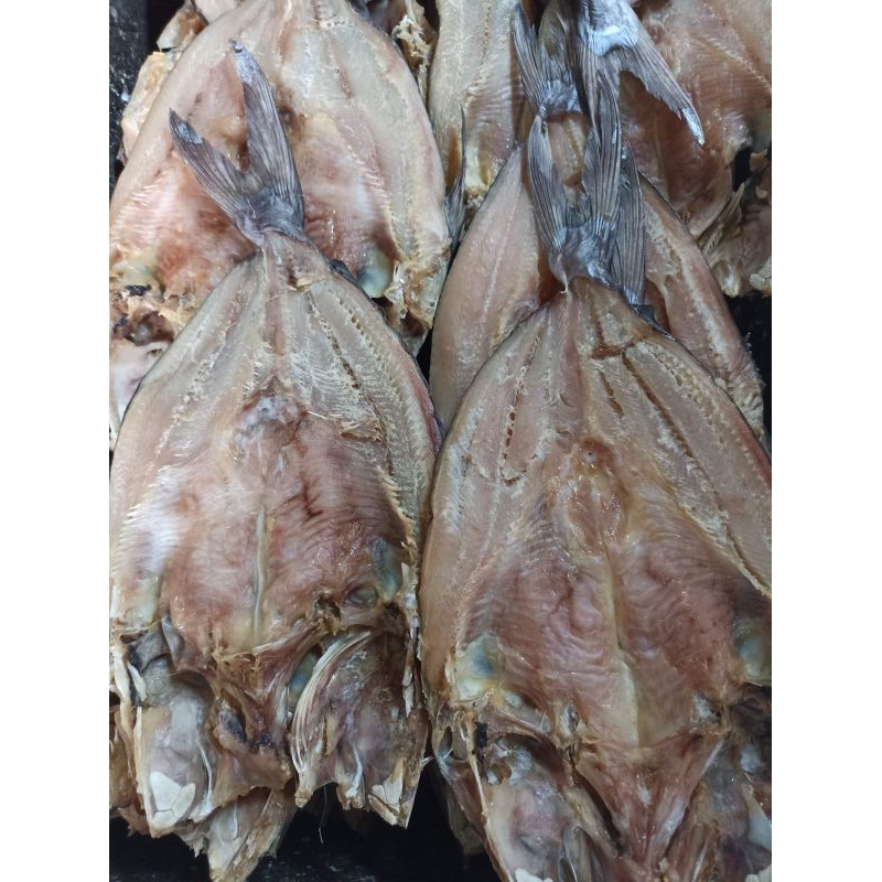 

ikan asin jambal roti biasa asli pangandaran