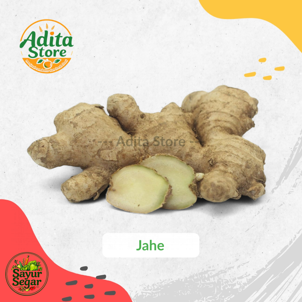 

Jahe Putih Segar | Jahe Bumbu Masak | Jahe Segar