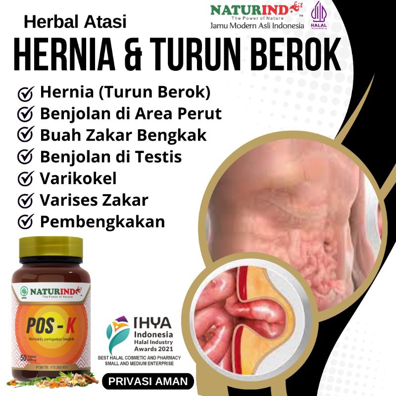 OBAT HERNIA HERBAL HERNIA OBAT TURUN BEROK DEWASA