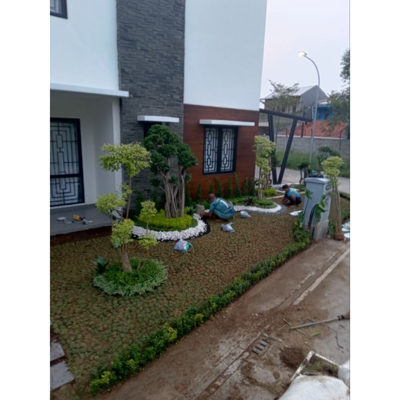 Jasa pembuatan taman rumah minimalis