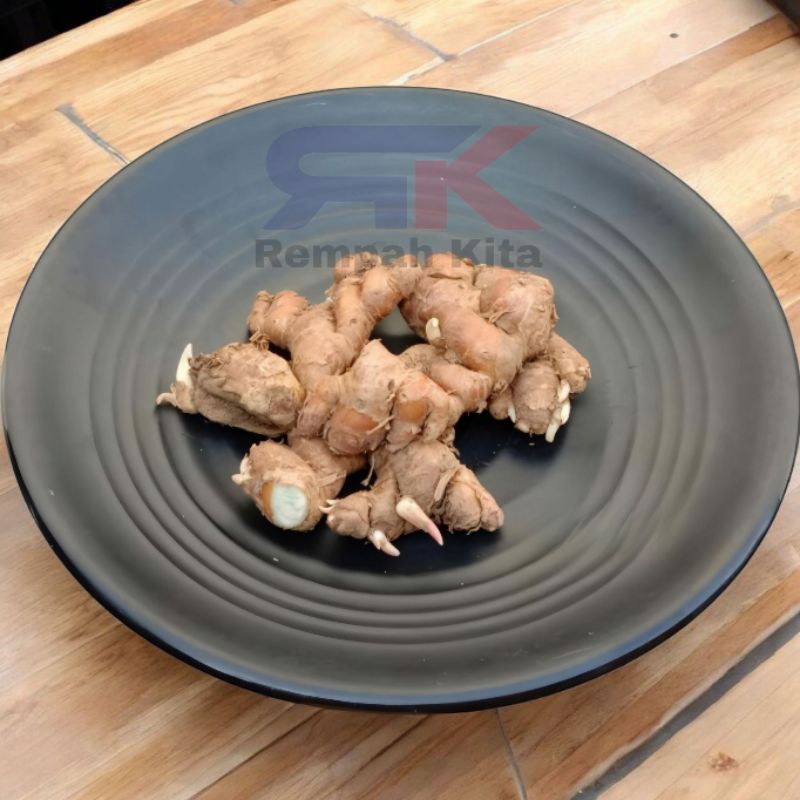 

Kencur Fresh Kencur segar Langsung Dari petani