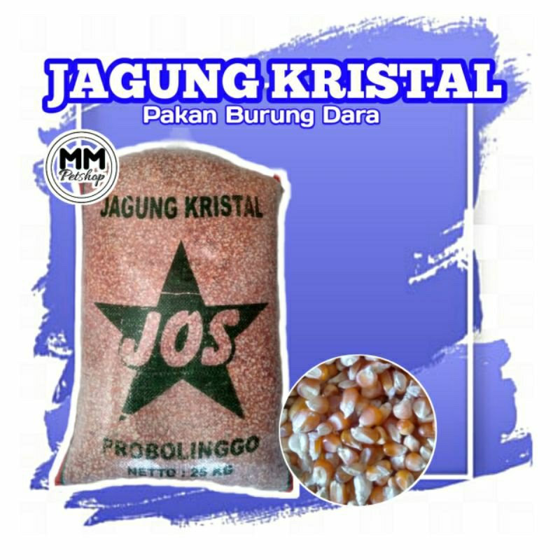 Jagung merpati jagung kristal 25kg