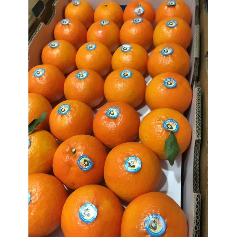 

Jeruk Wogan Honestman 1kg – Manis & Segar