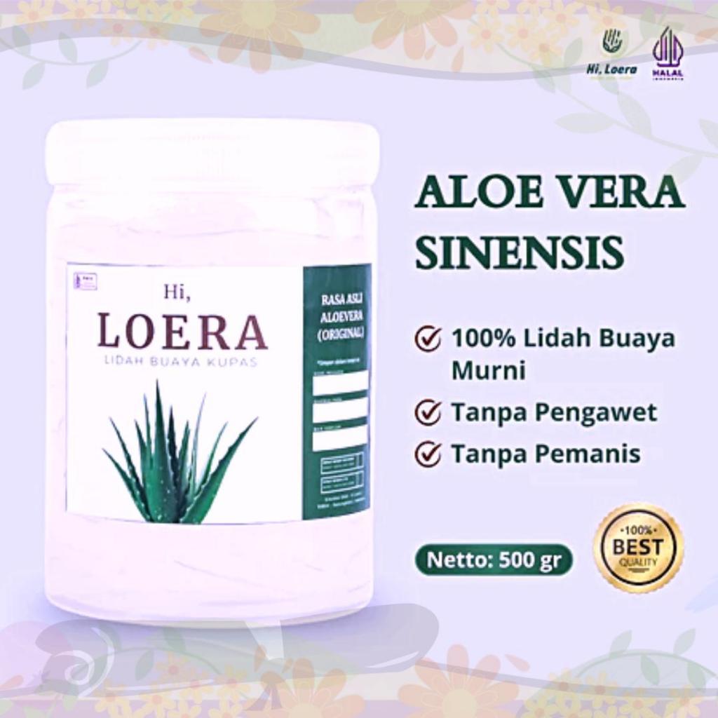 

Nata de Aloevera Aloe Vera Lidah Buaya Kupas Tanpa Pengawet dan Pemanis Obat Herbal Alami
