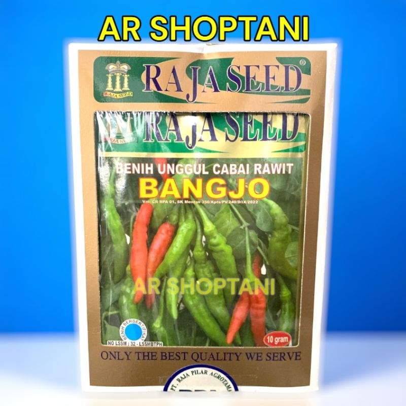 Benih cabe rawit hijau BANGJO (Bangkok Ijo) 10gram Raja Seed