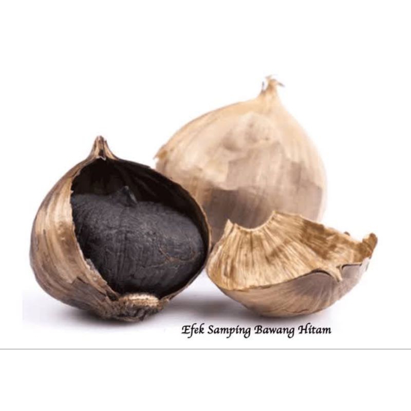 

Bawang Tunggal Hitam