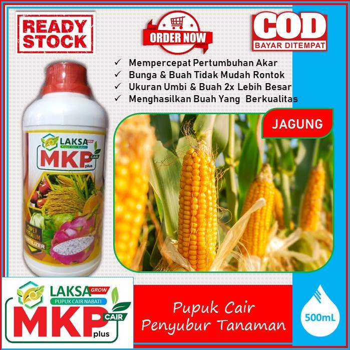 BARU - Pupuk Cair Mempercepat Pertumbuhan pada Tanaman Jagung (BIO NPK CAIR LAKSA GROW) cocok untuk 