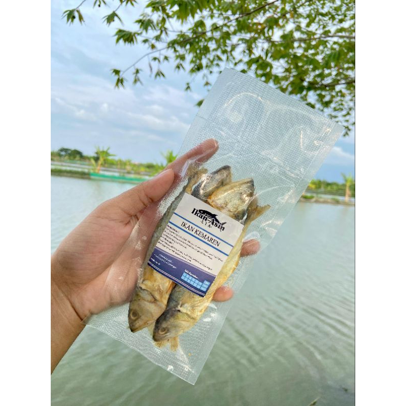 

Ikan kemaren