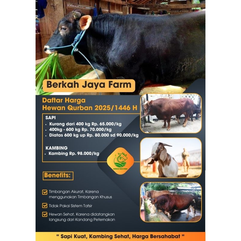 

Hewan Qurban Kambing Berkah Jaya Farm 2025