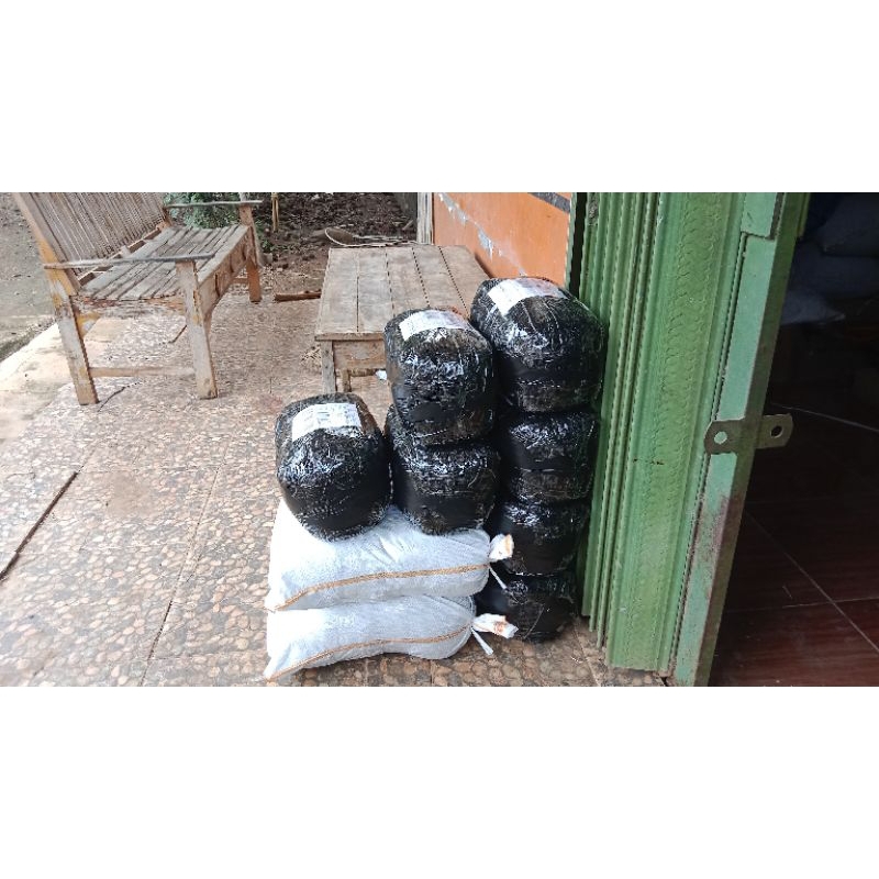 5 Kg Benih Padi TRISAKTI NEW 70 hst Cepat Panen, Mudah Perawatan, Tahan Penyakit, Tahan Kekeringan