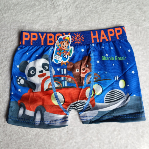 12 Pcs CD Boxer Anak Laki Laki Lusinan