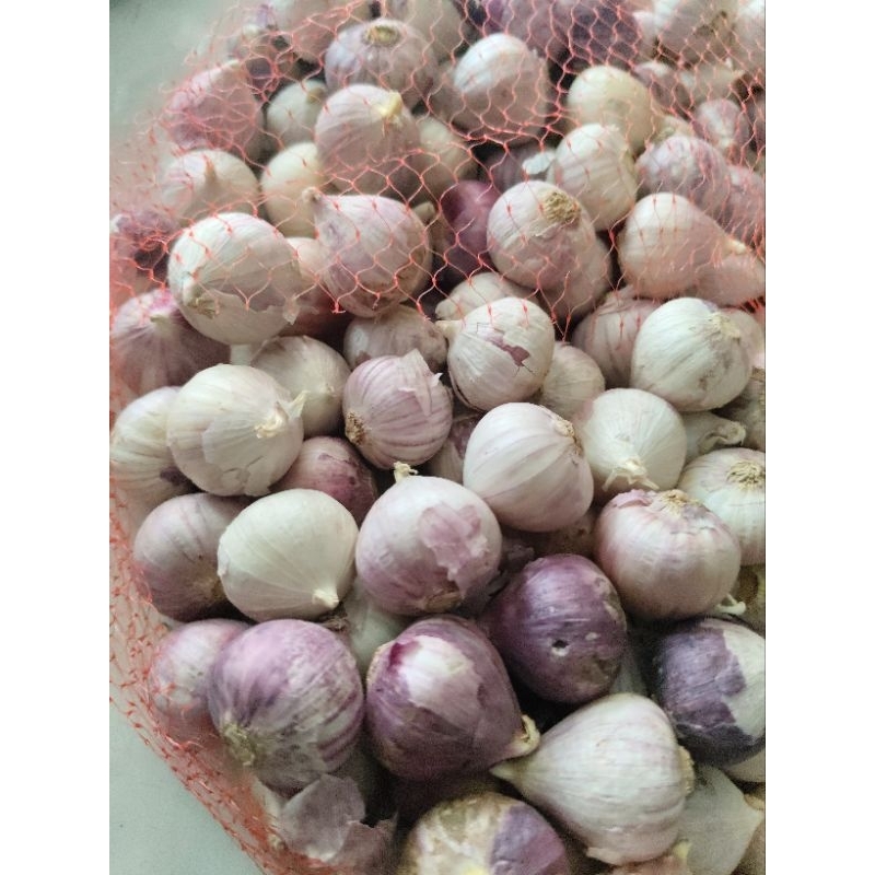 

Bawang Putih Tunggal 100 gram