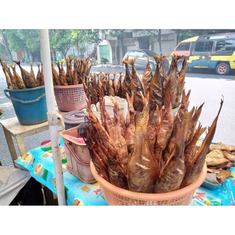 

ikan salai