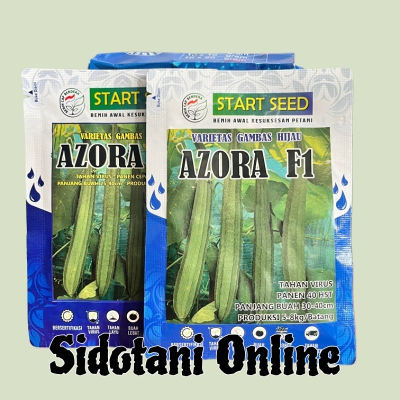 Benih Gambas / Oyong AZORA F1 -+80 BIJI TAHAN VIRUS