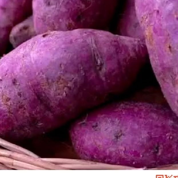 ubi unggul untuk bahan masakan alami @