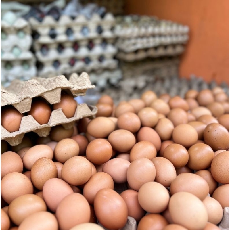 

Telur Ayam Negeri 500gr