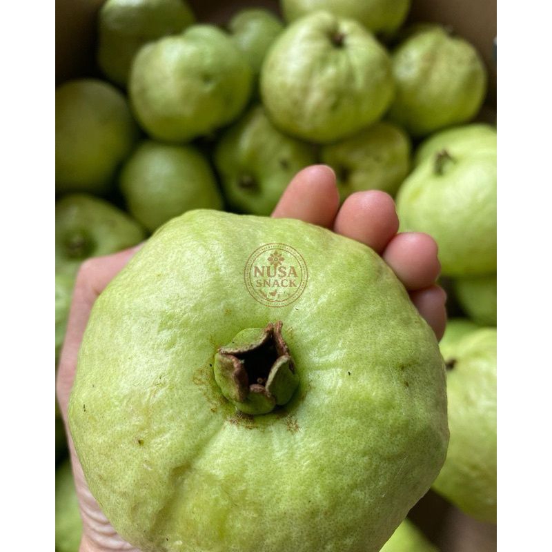 

Jambu Kristal Segar Berat 1 Kg