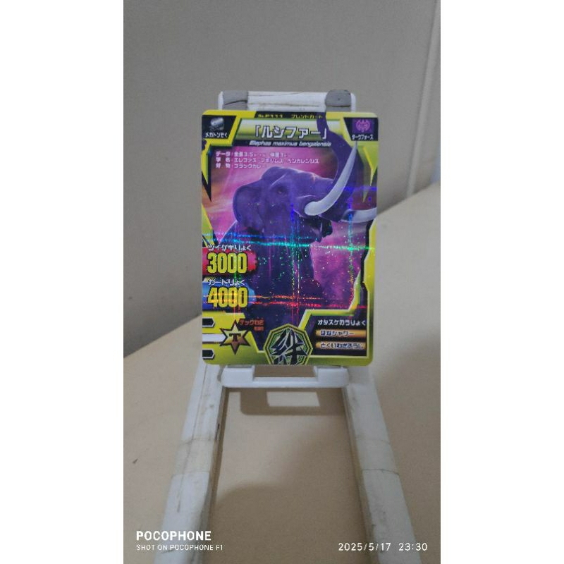 kartu animal kaiser japan card friend card Lucifer bengal elephant