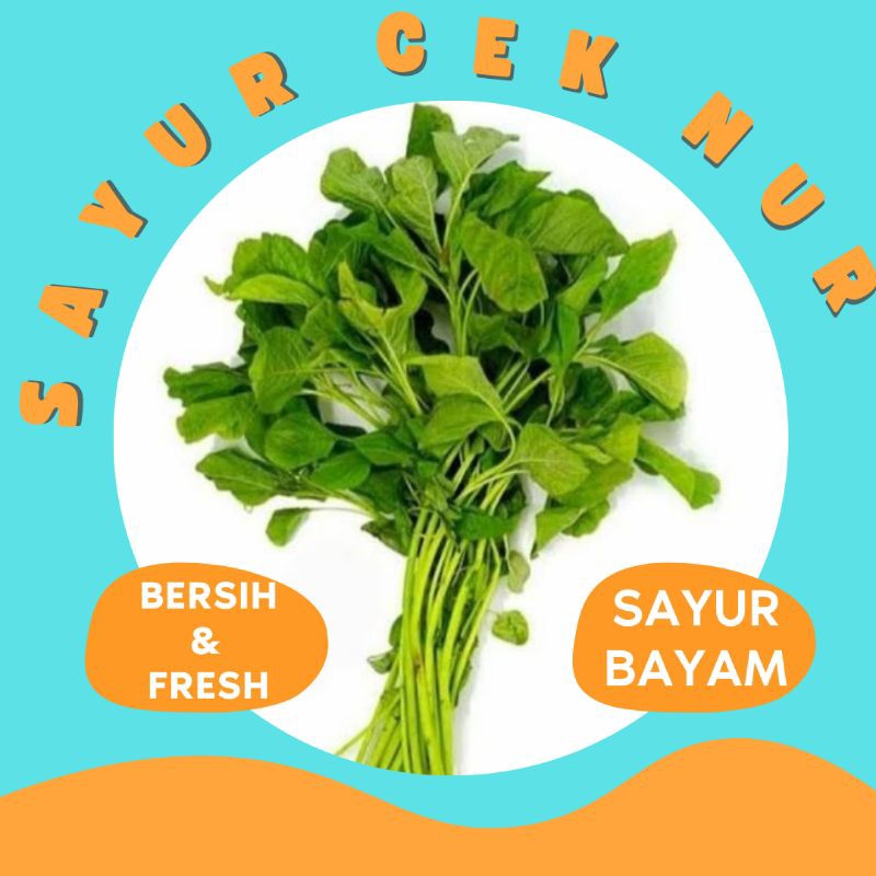 

SAYUR BAYAM FRESH & BERSIH - PALEMBANG