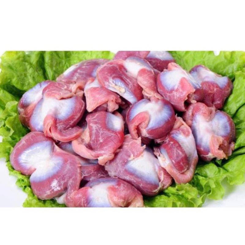 

Ampela Ayam Broiler dan Kampung