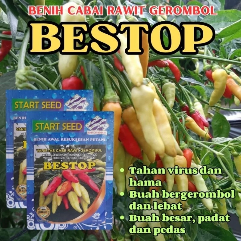 

Bibit Cabe Rawit Unggul BESTOP Bibit Cabe Kaliber Unggul Tahan Virus Benih Cabe Rawit Unggul Bibit Cabe rawit Grombol 10 grm