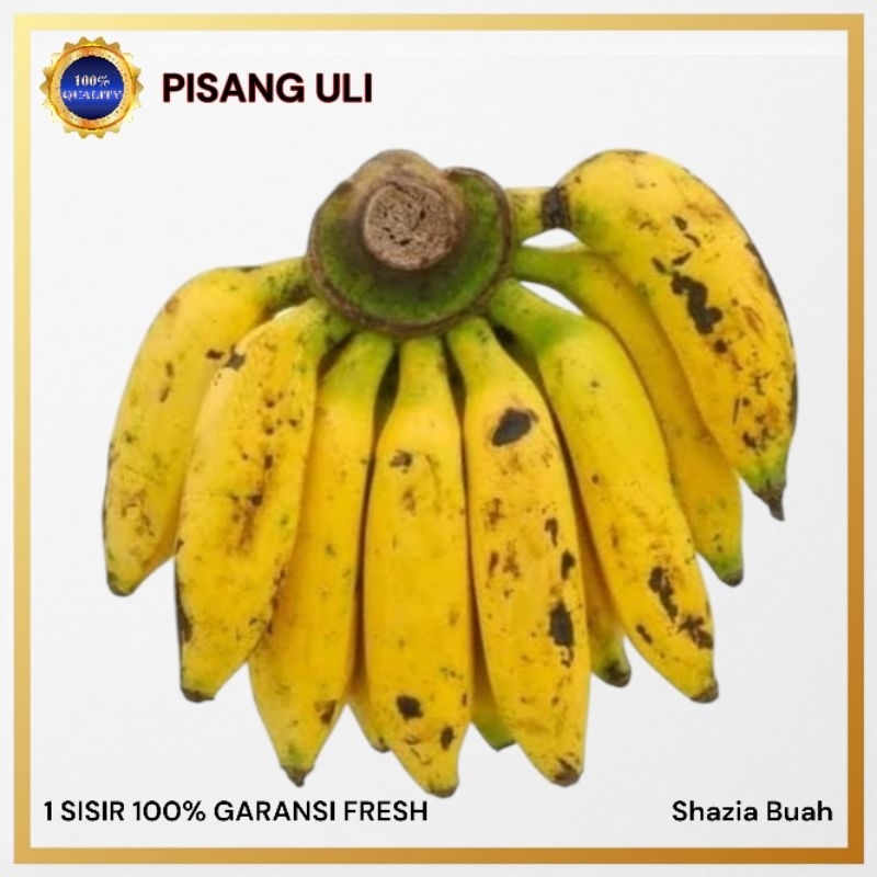 Pisang Uli / Pisang Uli Super / Fres 1 sisir