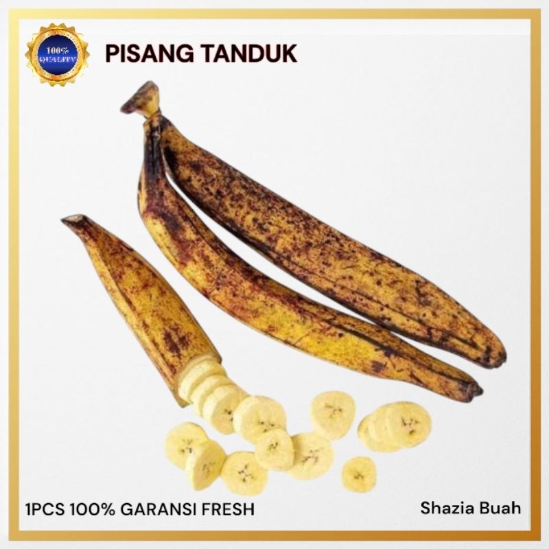

Pisang Tanduk / Pisang Tanduk Super