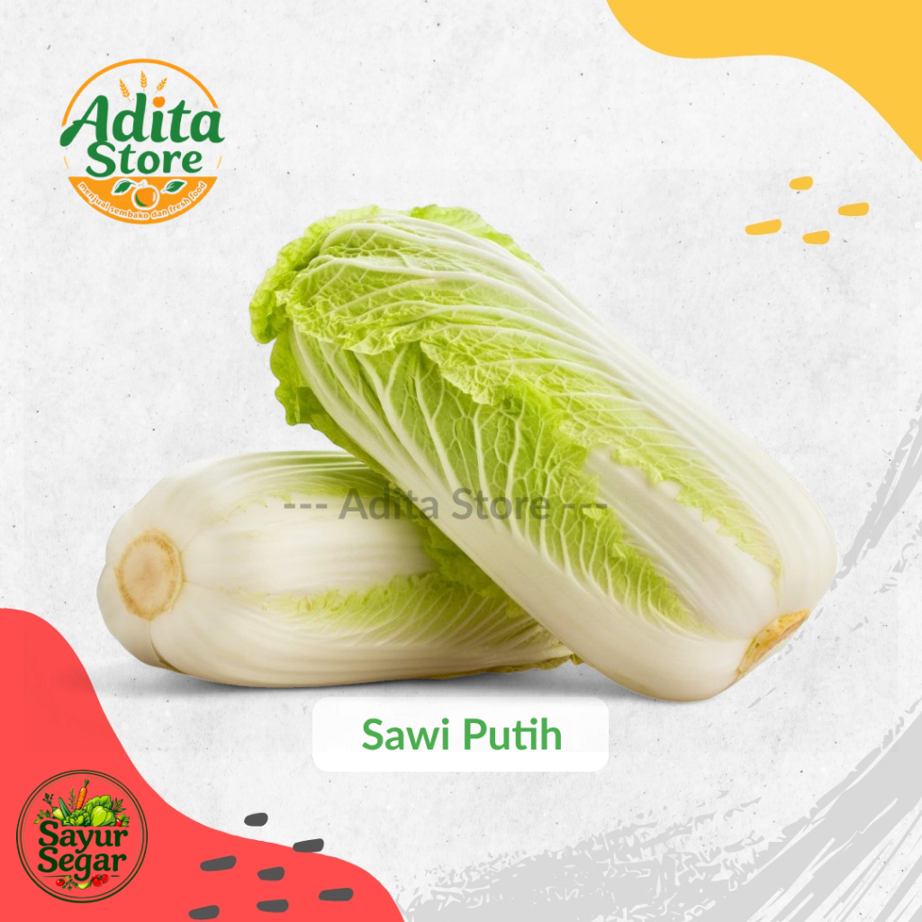

Sawi Putih Segar Kualitas Premium