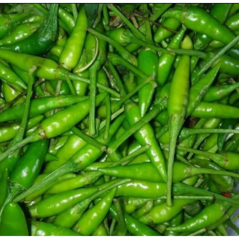

cabe rawit hijau segar 500 gram