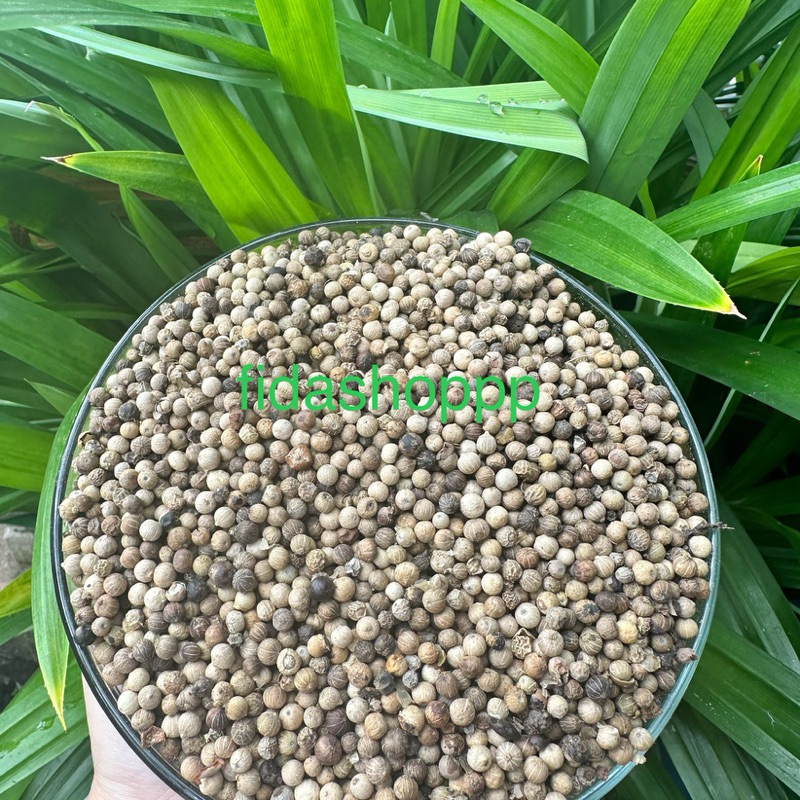 

merica lada putih 100 gram