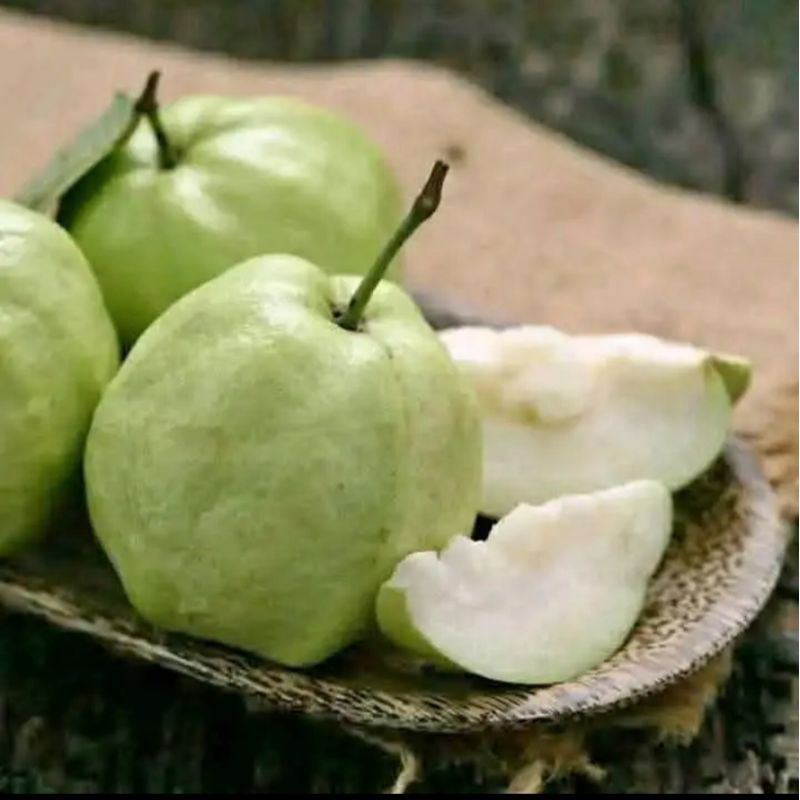 

Jambu kristal 1kg murah