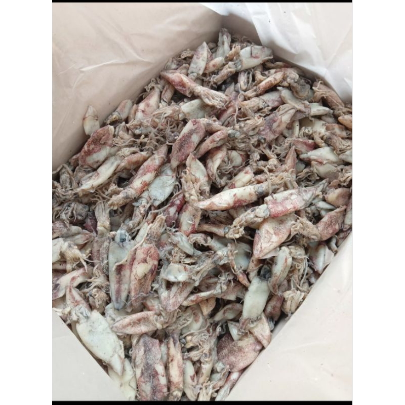 

cumi asin / cumi kering