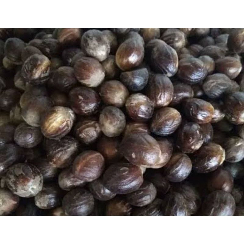 

biji pala kering tua 1kg