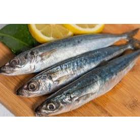 

ikan sarden fresh ikan laut fresh 1kg