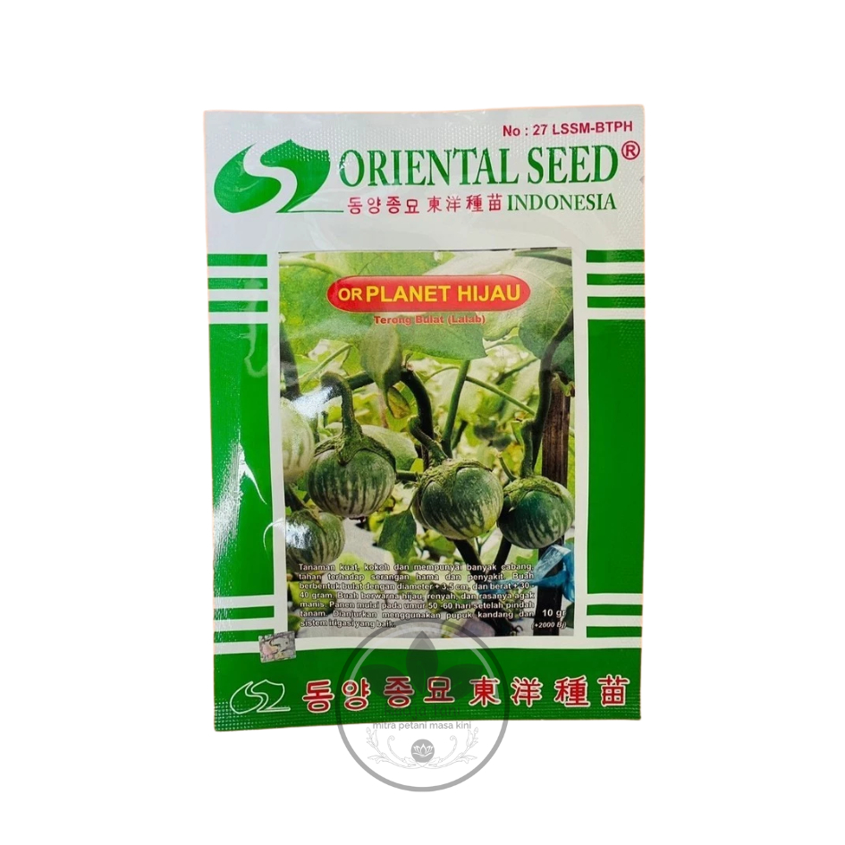 Benih - Benih terong lalap bulat or PLANET HIJAU isi 10gr dari ORIENTAL SEED (ORIENTAL SEED)