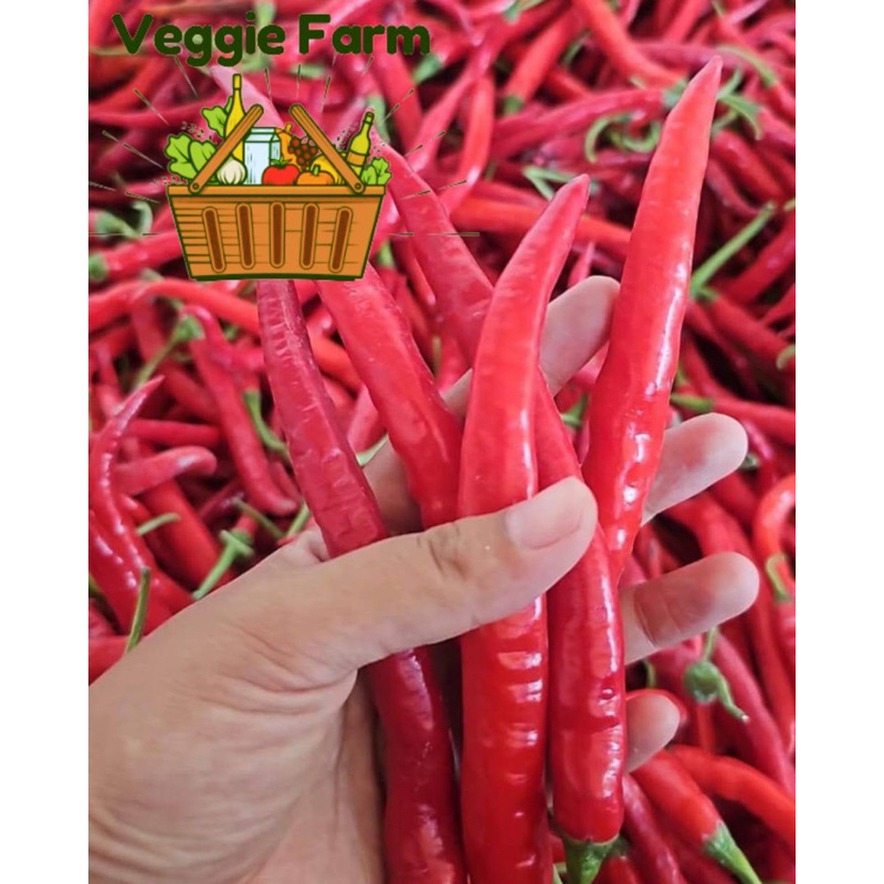 

Veggie Farm - Cabe Merah Besar PALING MURAH