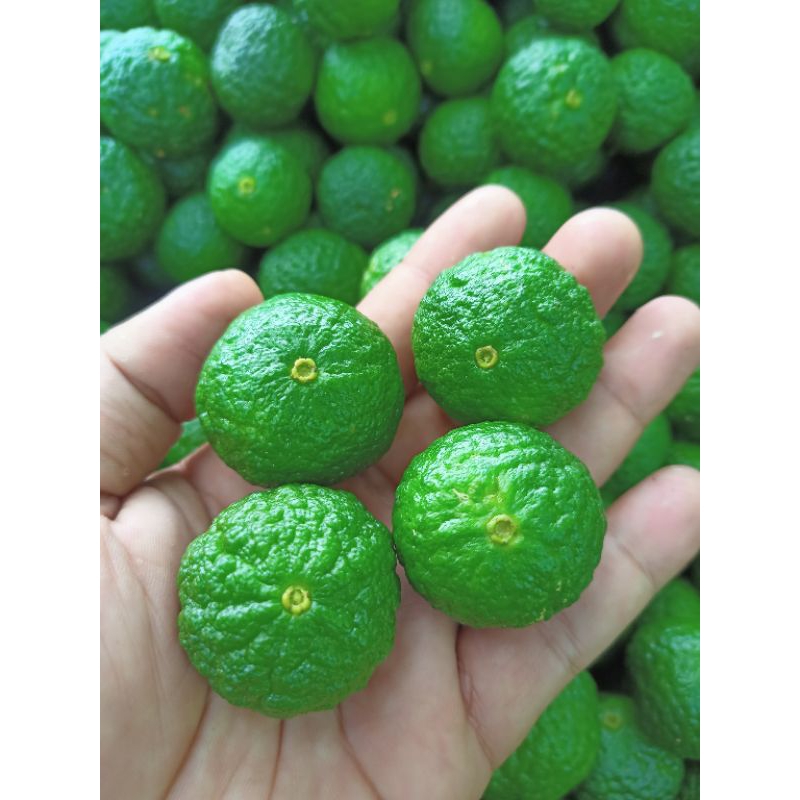 

1KG JERUK LIMO LOKAL